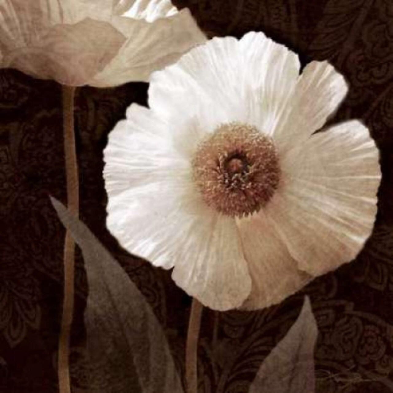 Paisley Poppy II Poster Print by Keith Mallett - Item # VARPDX18033